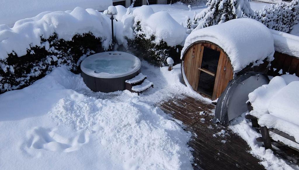שאמוני Chalet La Taniere De Groumff מראה חיצוני תמונה